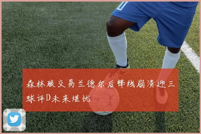 森林狼交易兰德尔后锋线崩溃迎三球评D未来堪忧