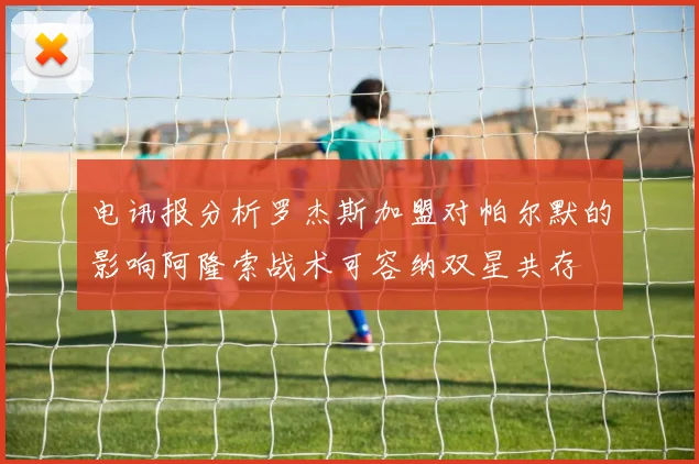 电讯报分析罗杰斯加盟对帕尔默的影响阿隆索战术可容纳双星共存