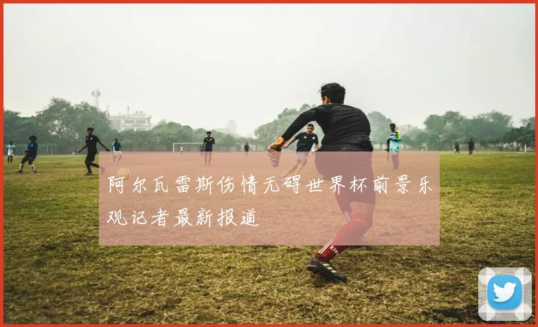 阿尔瓦雷斯伤情无碍世界杯前景乐观记者最新报道